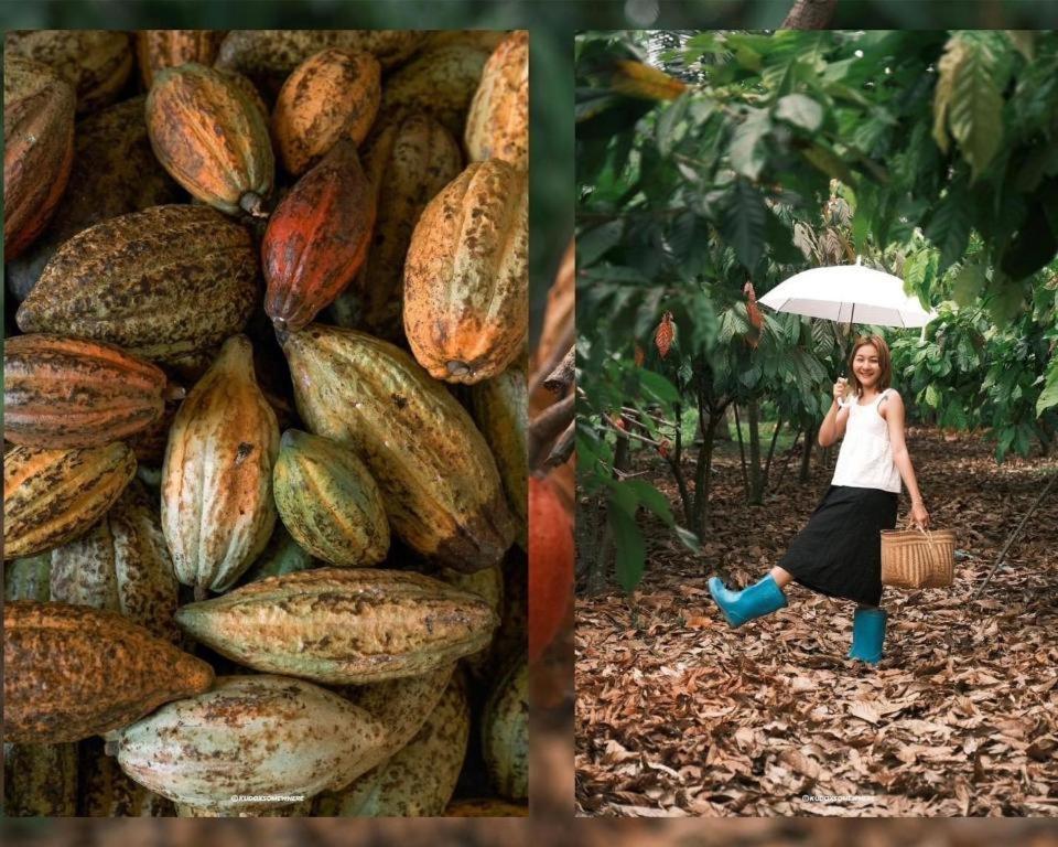 Cocoa Valley Resort Pua Luaran gambar