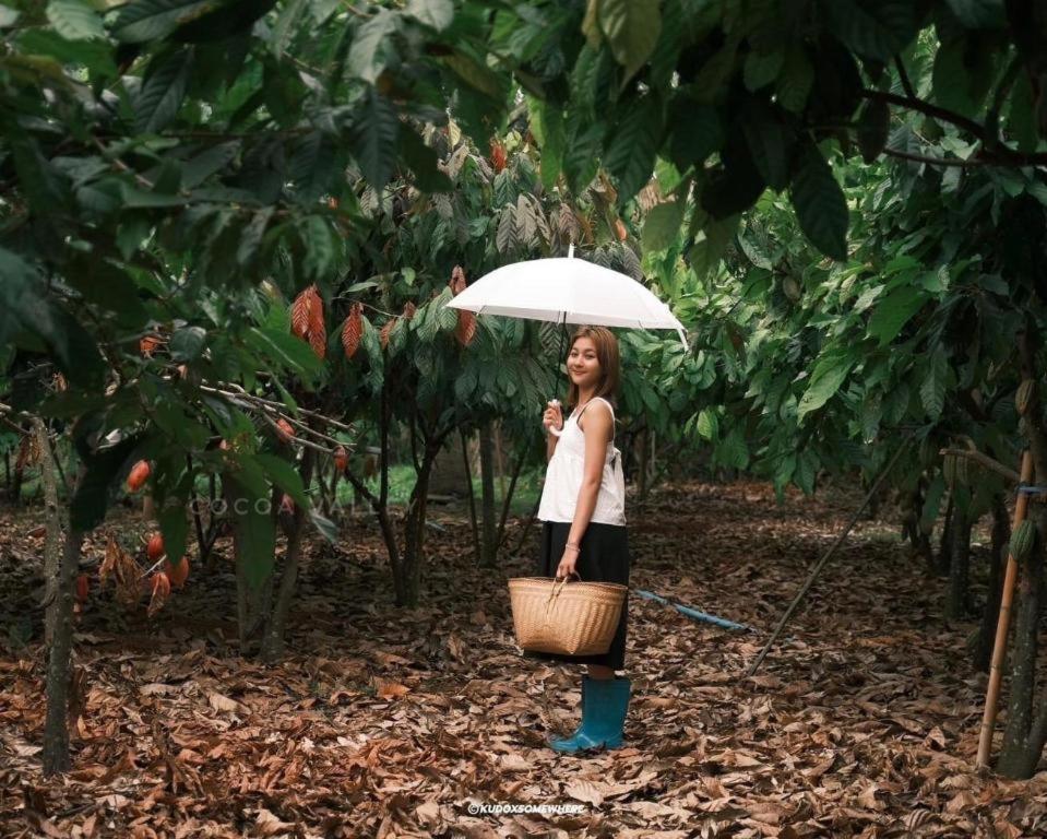 Cocoa Valley Resort Pua Luaran gambar